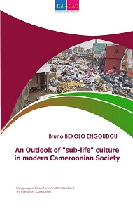  An Outlook of sub-life culture in modern Cameroonian Society 